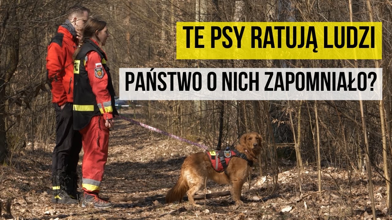 TE PSY RATUJĄ LUDZI. PAŃSTWO O NICH ZAPOMNIAŁO?
