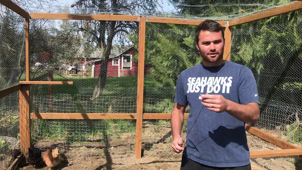 How to catch chickens with a close hanger