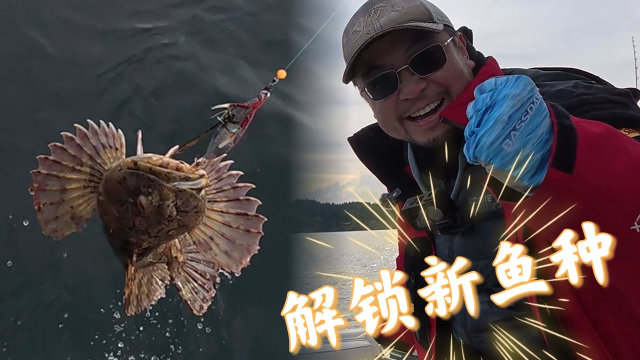 解锁新鱼种  new species of fish for me