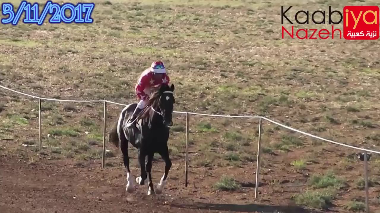 NIJMI AL LEIL . BLACK DESPERADO BY Thee Desperado & SAJA AL LAIL BY WAZIR EL KHEIL