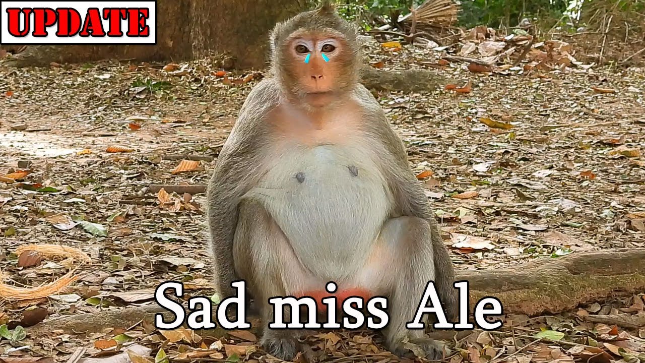 Angel still sit waiting her baby Ale not big Ale/ Poor Ale return to NGO cos can't join her family