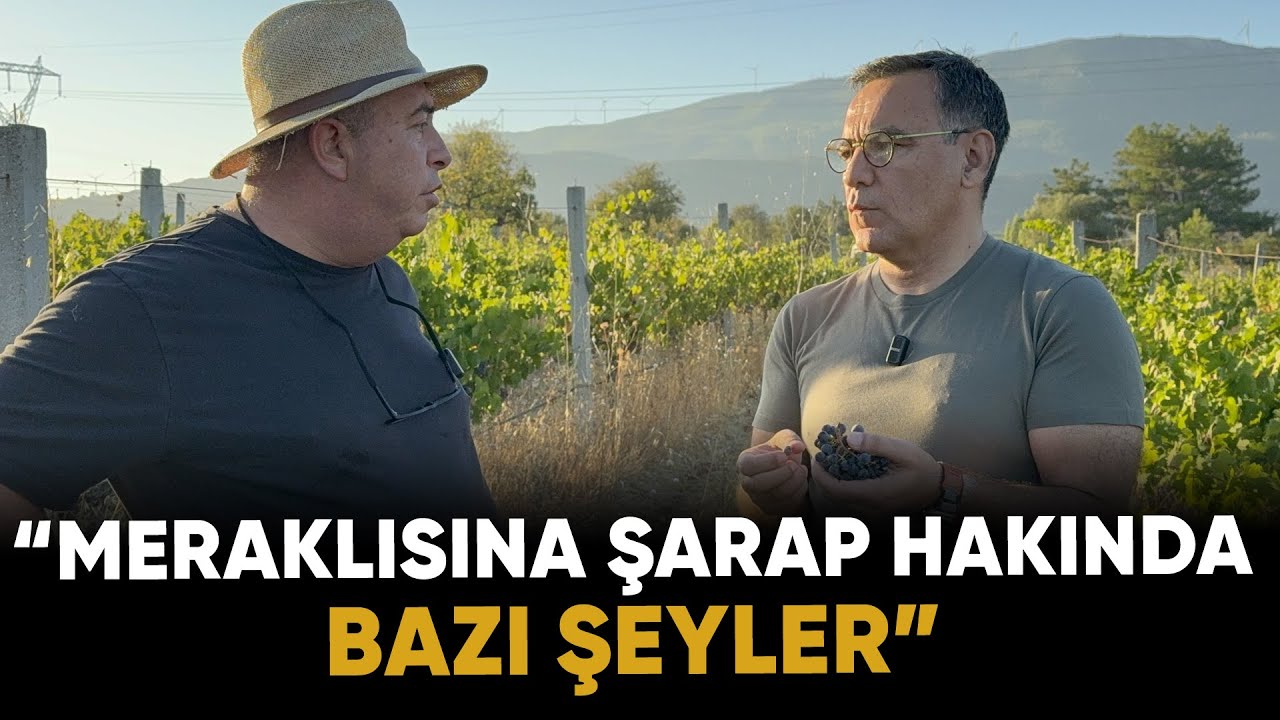 Meraklısına Şarap hakında bazı şeyler | Bilgece Sohbetler | Deniz Zeyrek - Bilge Yamen