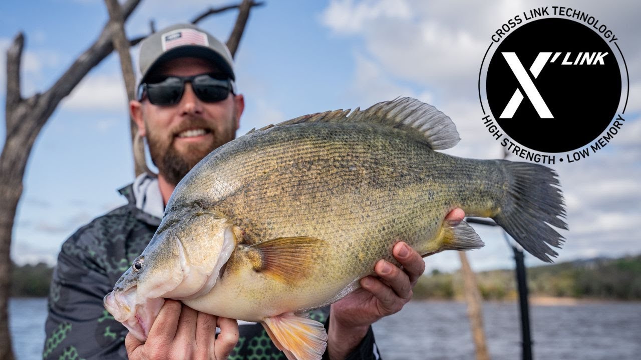 Yellowbelly fishing in the timber. ft Josh Kopp