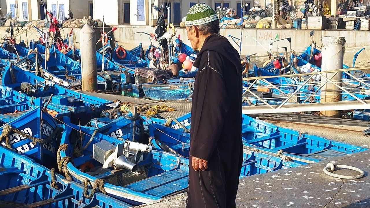 Essaouira, giornata al porto e nella medina. 