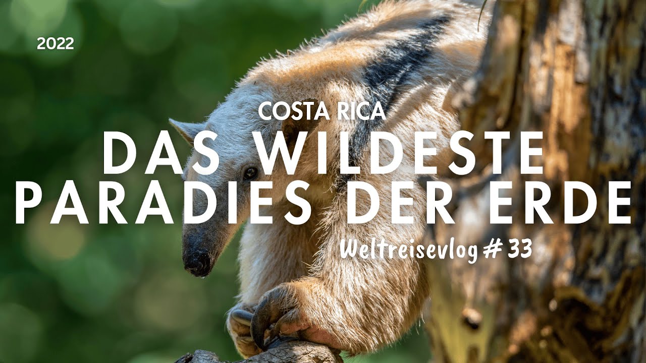 Das wildeste Paradies der Erde   Drake Bay und der Corcovado Nationalpark in Costa Rica   Weltreise