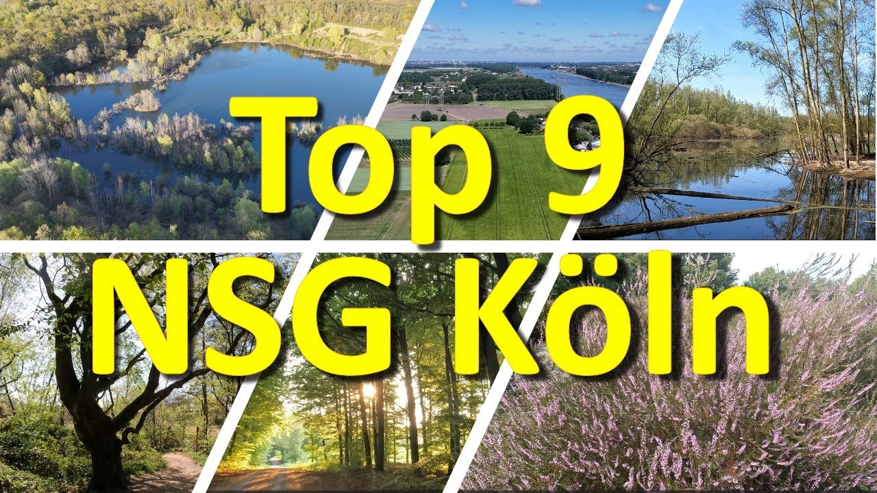 Die schönsten Naturschutzgebiete in Köln: Top 9 NSG Köln