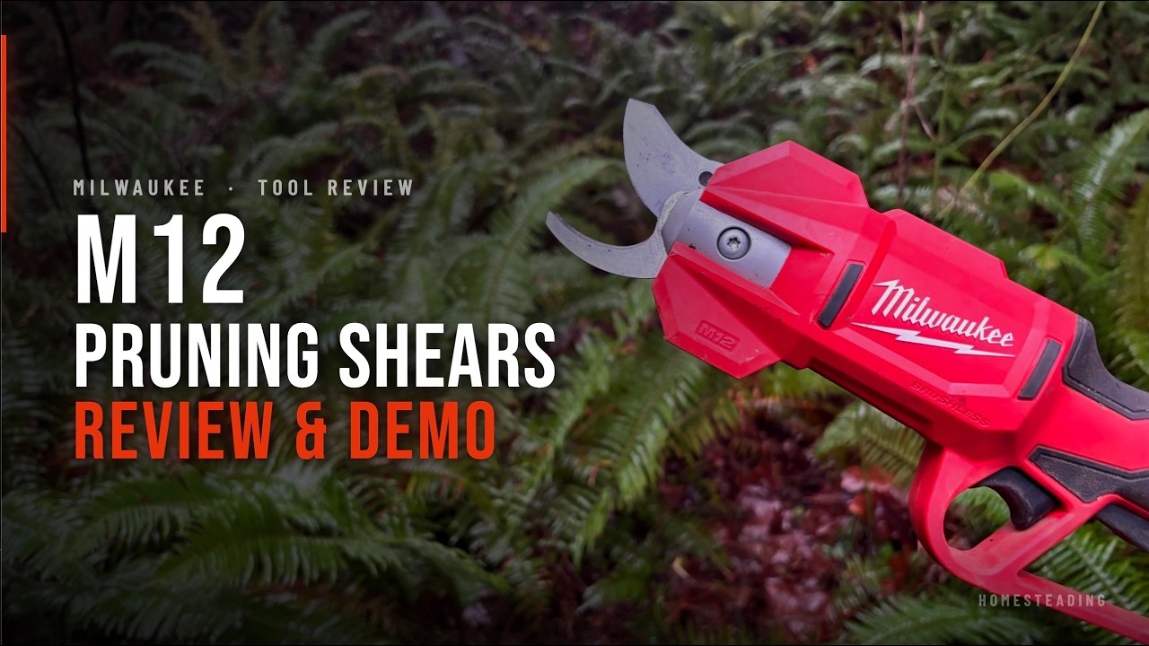 M12 Pruning Shears – 1 Year Review + Blade Removal & Sharpening