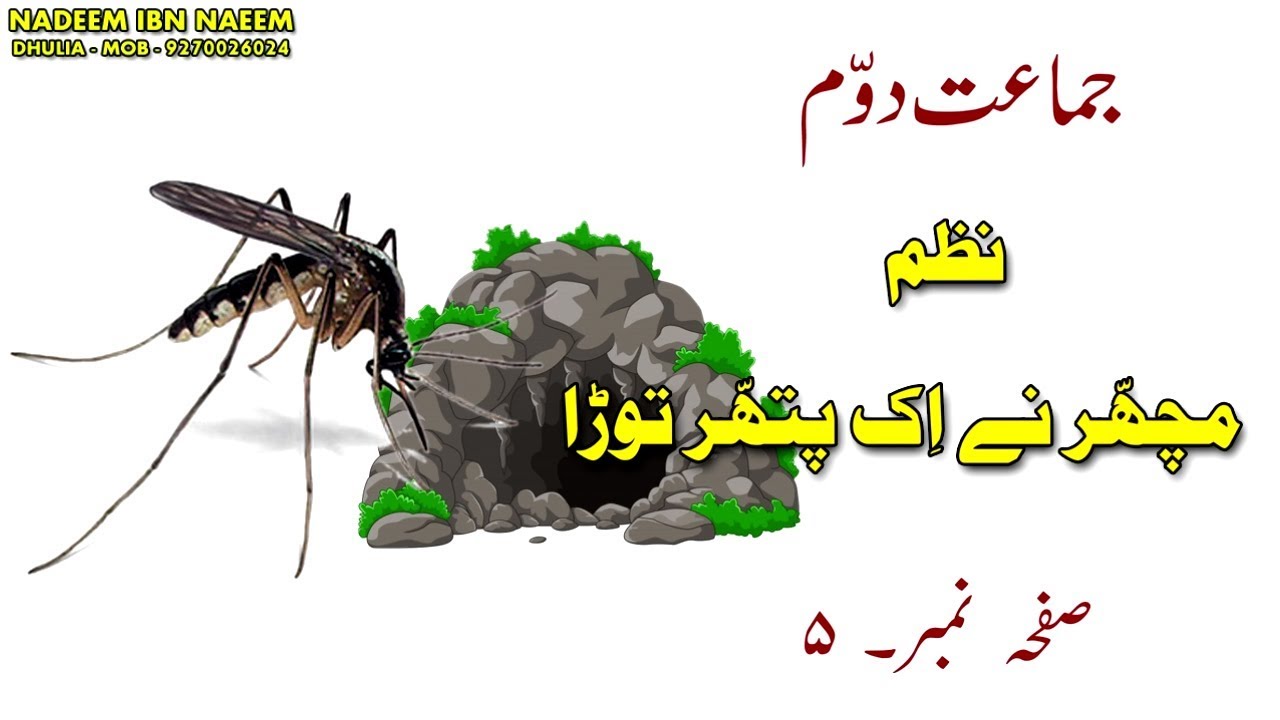 نظم مچھّر نے اک پتھر توڑا ۔ جماعت دوّم