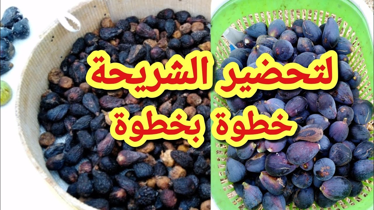طريقة تحضير الشريحة البلدية أو التين المجفف خطوة بخطوة بطريقة سهلة وبسيطة 😍🤓