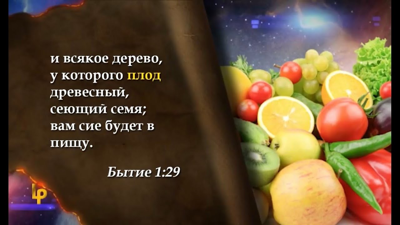Различия между чистой и нечистой пищей - Даг Батчелор