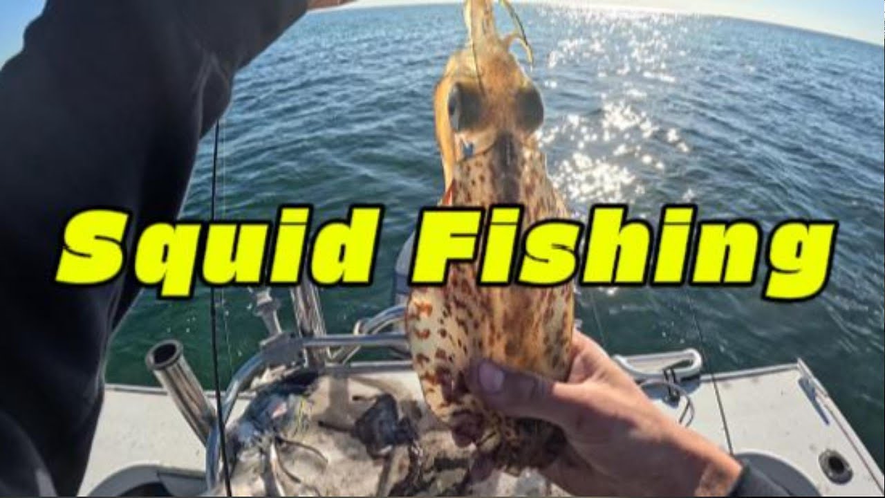 I EP 1I Clifton Springs Squid Fishing I