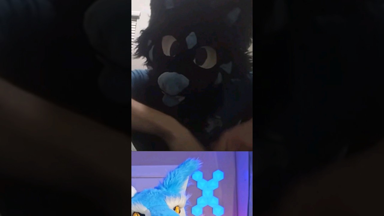We Found One! #furries #ometv