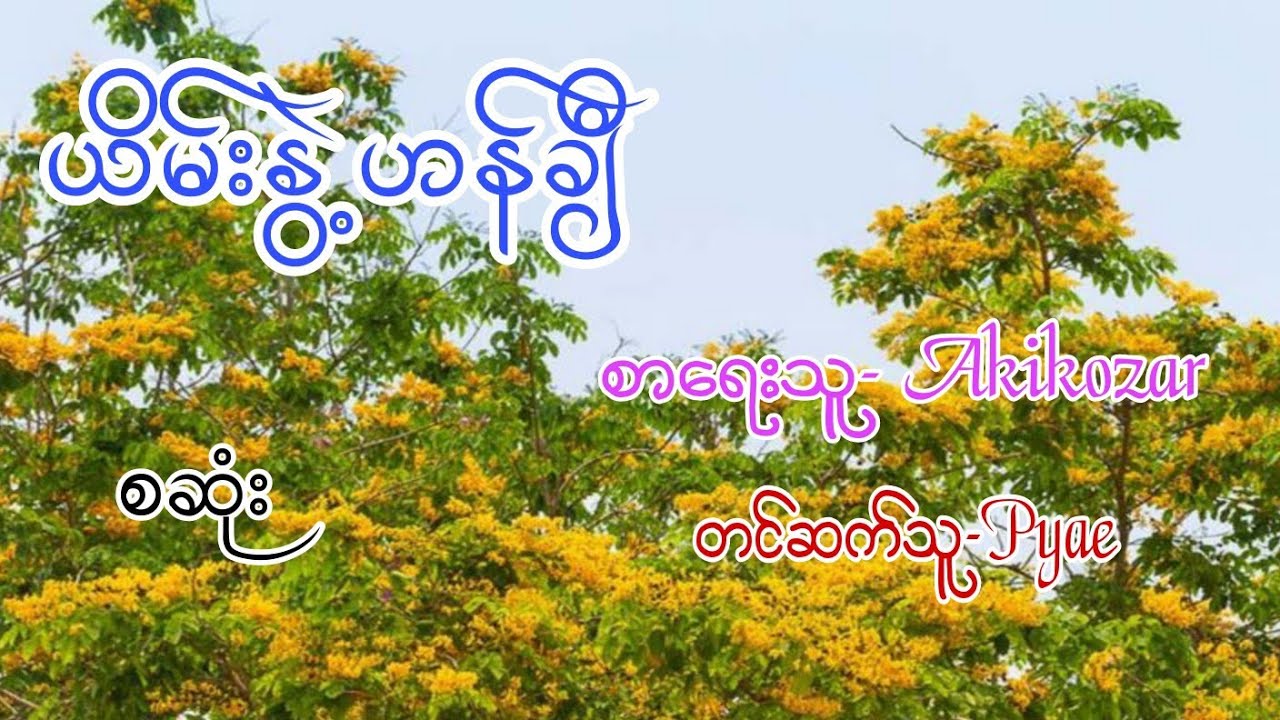 ယိမ်းနွဲ့ဟန်ချီ စဆုံး#audiobook #love #views #အသံဇာတျလမျးမြား #drama #bl #anime 