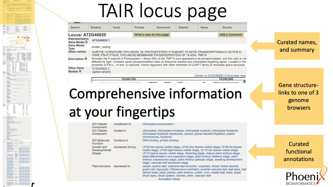 TAIR for ICAR2021