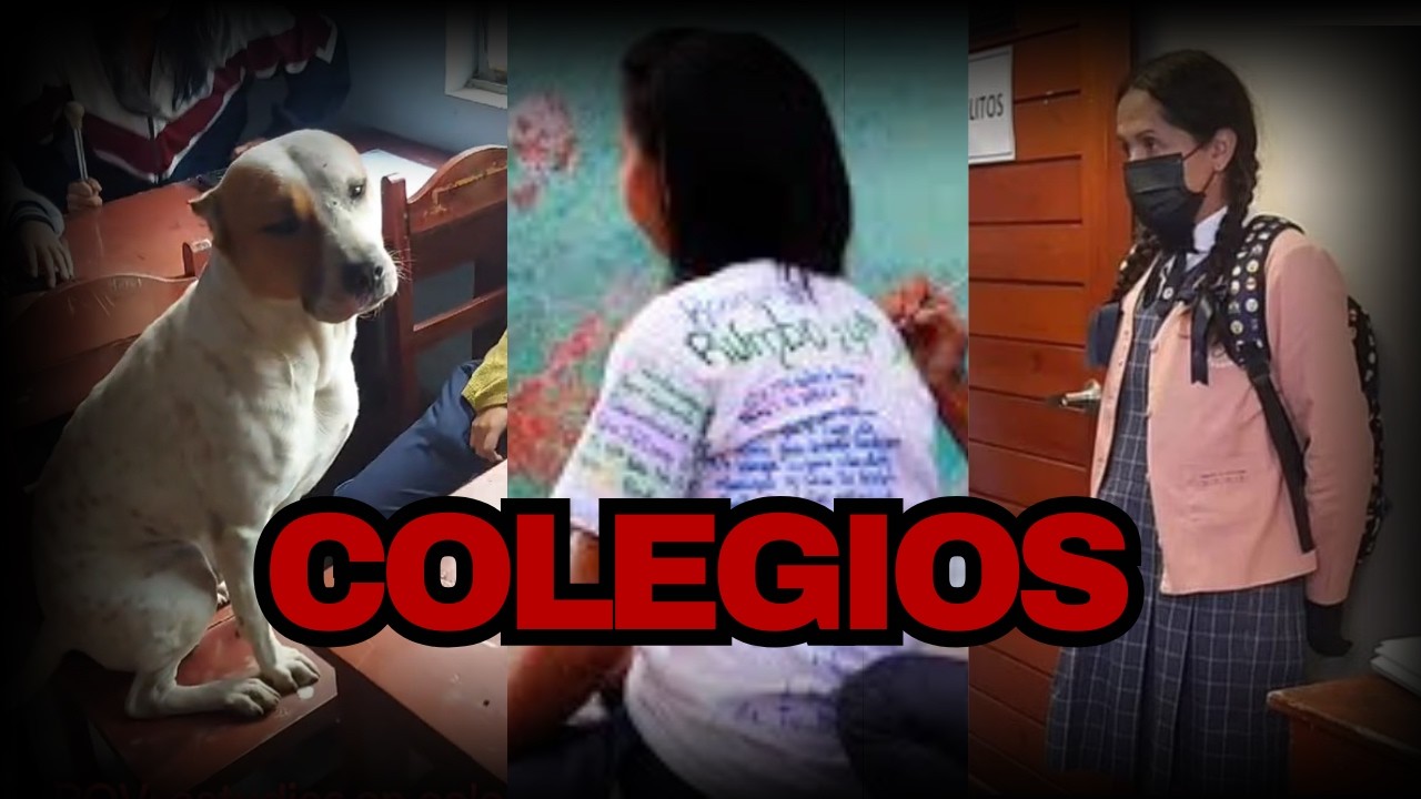 EL LADO OSCURO DE LOS COLEGIOS (Públicos y privados)
