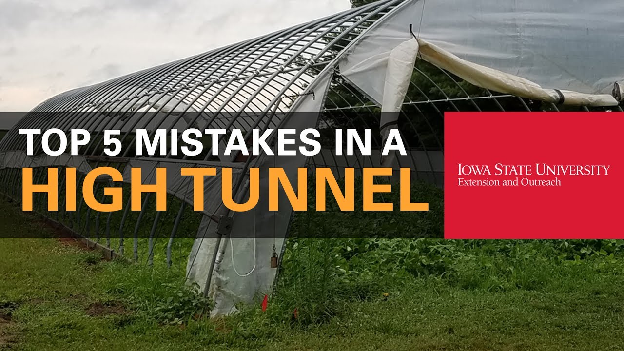 Top 5 Common Mistakes Made in a High Tunnel