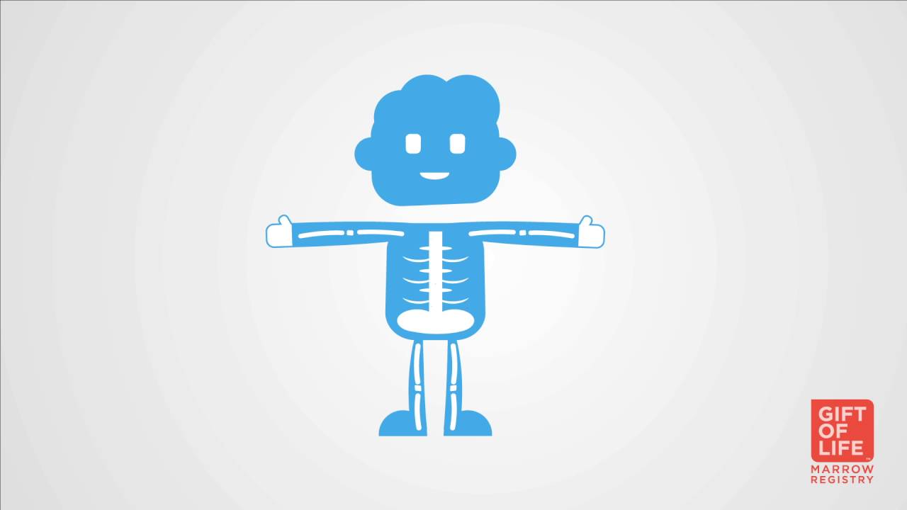Recipients: What is a Bone Marrow/Stem Cell Transplant Like?