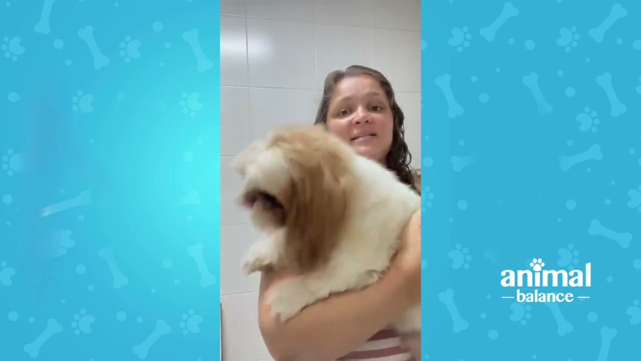 Depoimento da tutora Jéssica! 