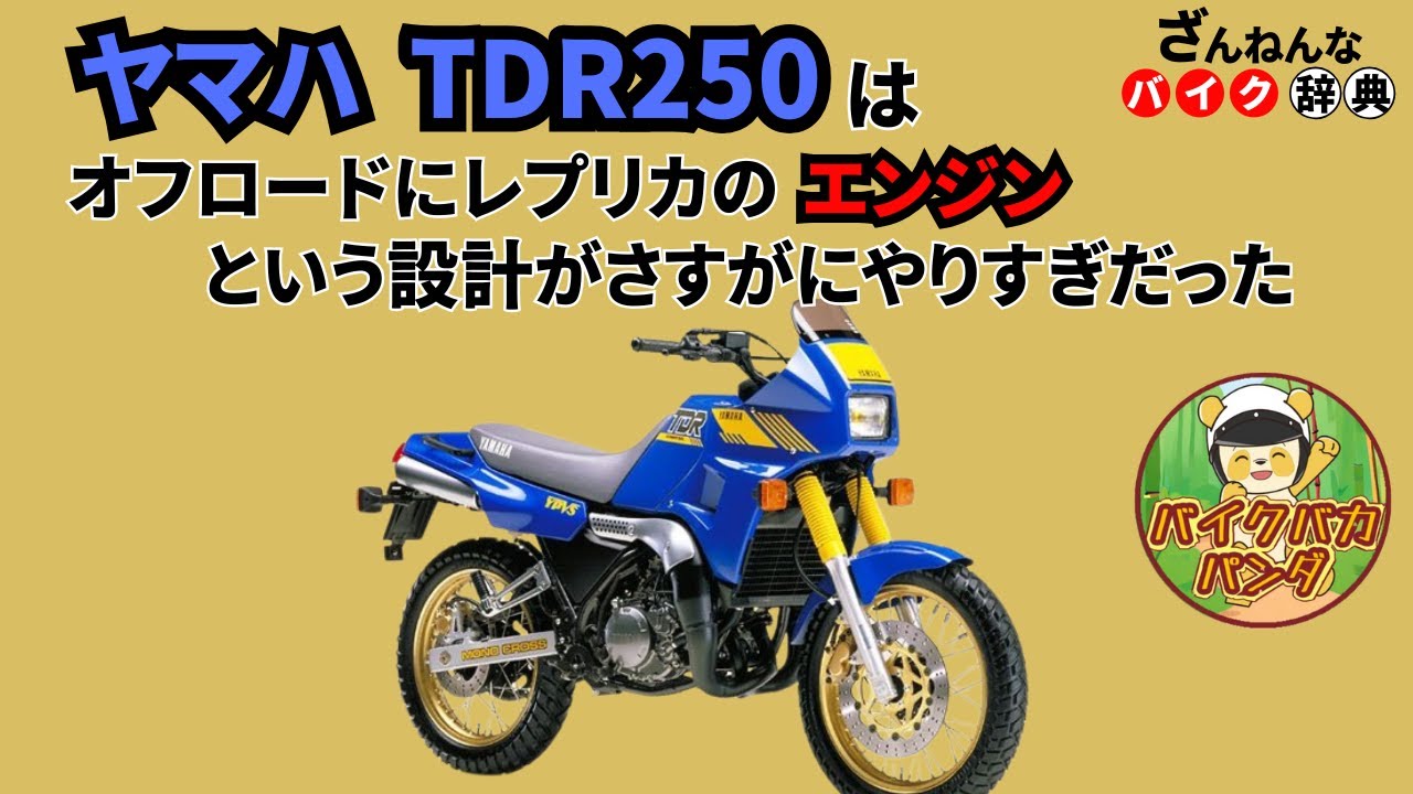 [ダブルの意味でレプリカなのに…]ヤマハのTDR250が残念すぎる!![ざんねんなバイク辞典]