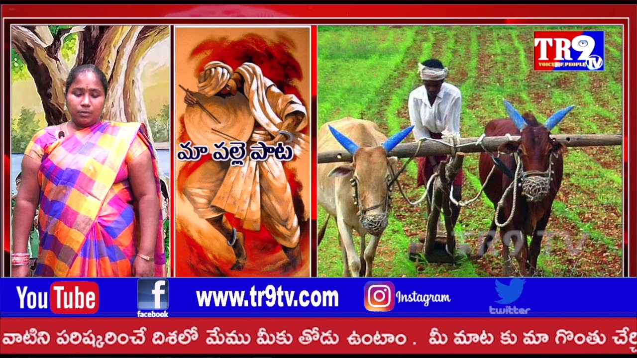 Ma Palle Pata:మా పల్లె పాట:పల్లెటూరి అందాలను పాటలో తెలియచేసింది కళాకారిణి మౌటం లావణ్య||TR9 TV