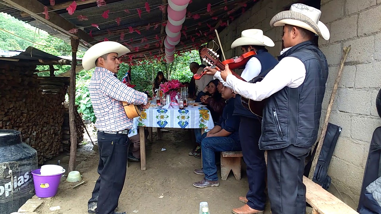l trio CONSENTIDO HUASTECO en pozagrande HUEHUETLA HIDALGO