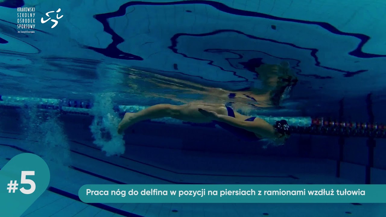Styl Motylkowy - Praca nn do delfina