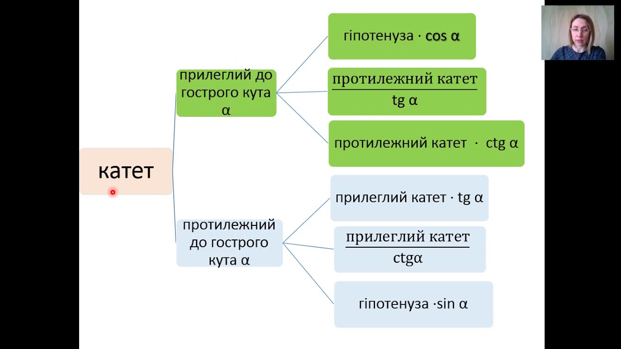 8 клас. Геометрія. Співвідношення між сторонами і кутами прямокутного трикутника.
