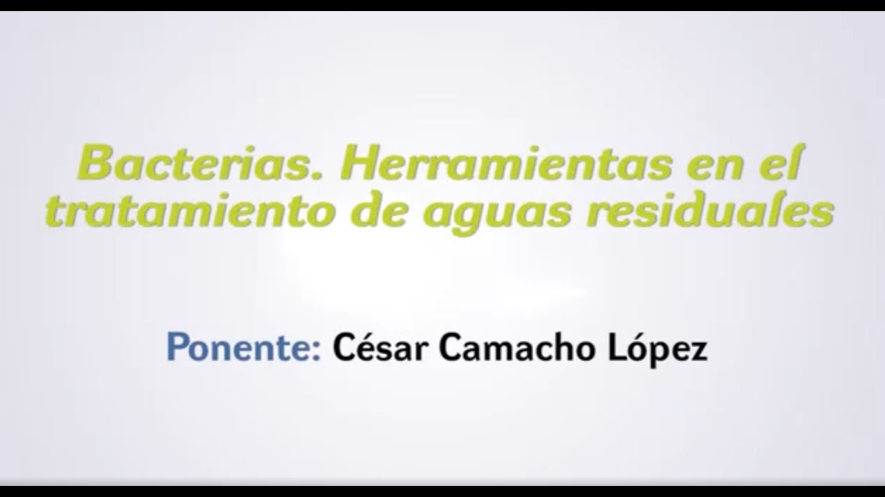 Bacterias. Herramientas en el tratamiento de aguas residuales