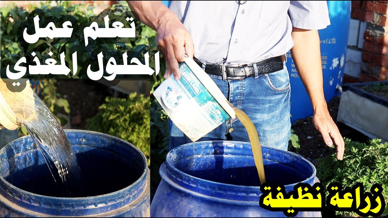 كيفية عمل المحلول المغذي الاورجانيك للزراعة العضوية النظيفة من ذرق الحمام