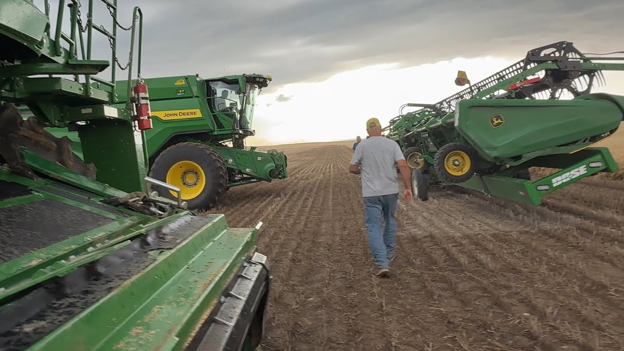 Rainy Day Stuff…2025 Highwood, Montana Harvest (2)