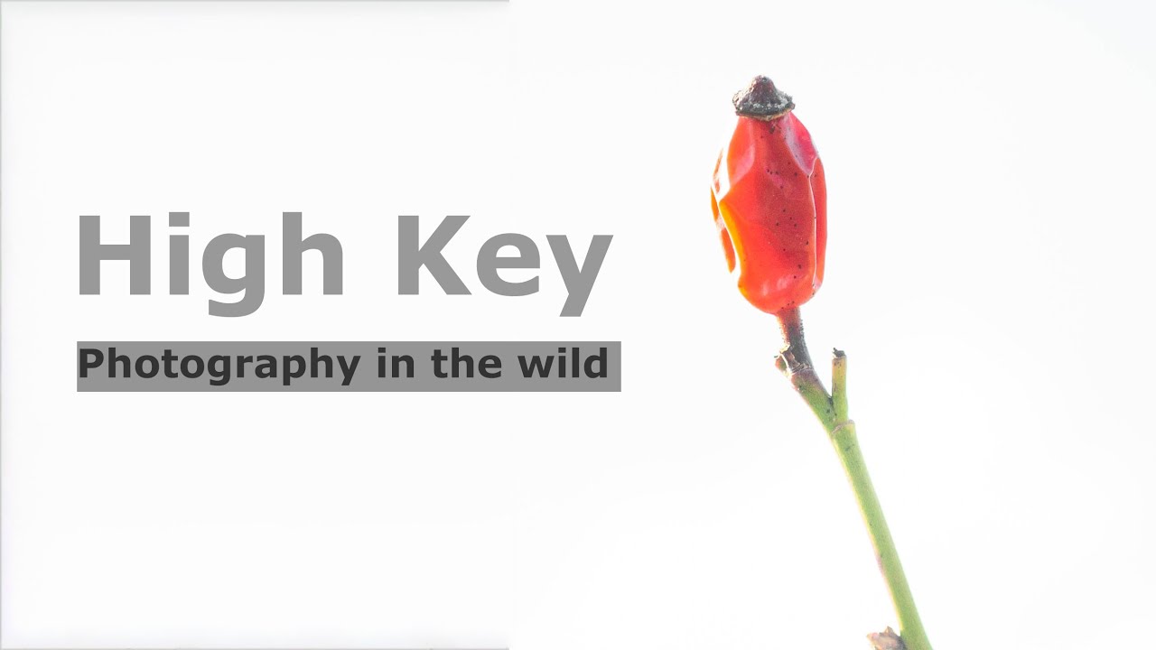 High Key Photography | Shooting in the Outdoors