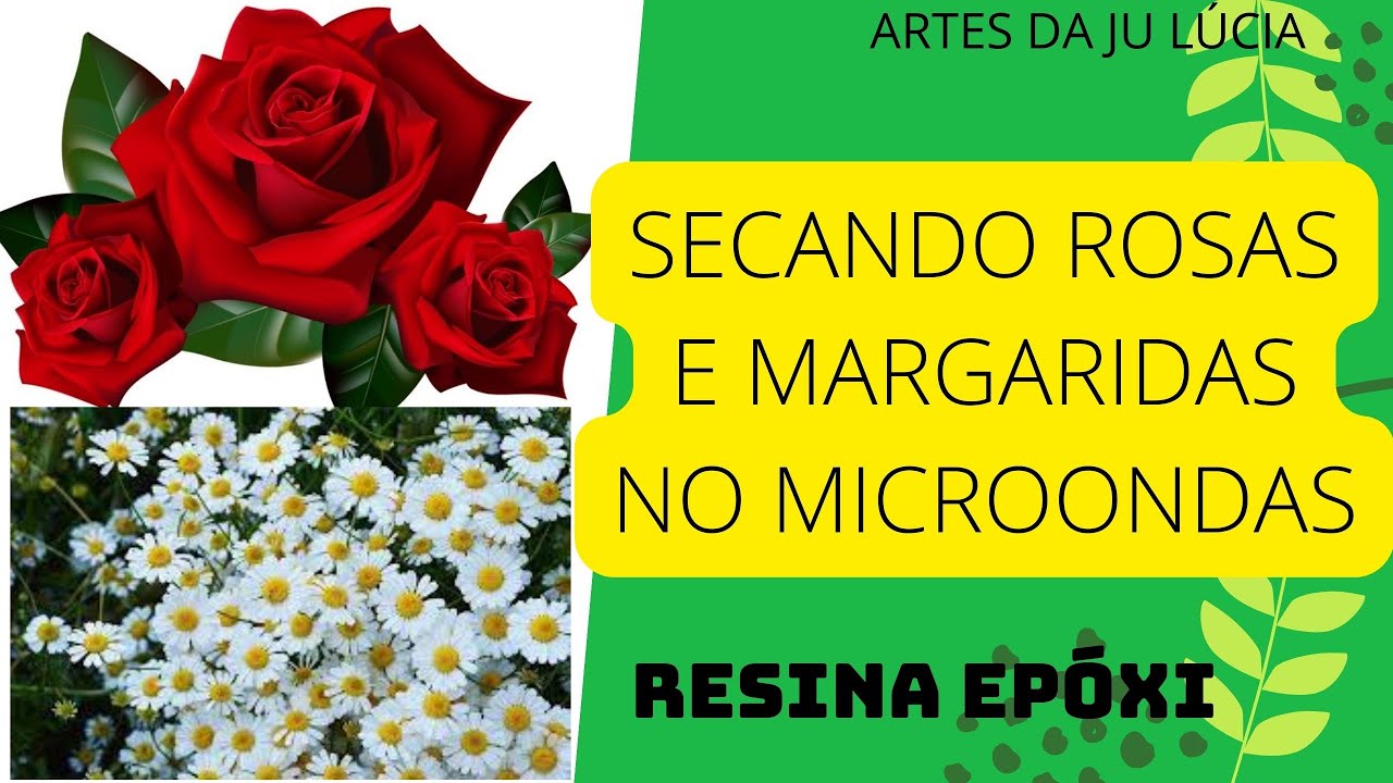 COMO SECAR ROSAS E MARGARIDAS NO MICROONDAS - FLORES  DESIDRATADAS PARA RESINA
