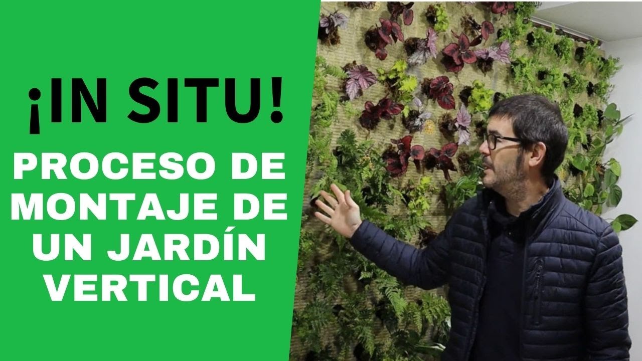 ¿Cómo hacer un jardín vertical en interior?
