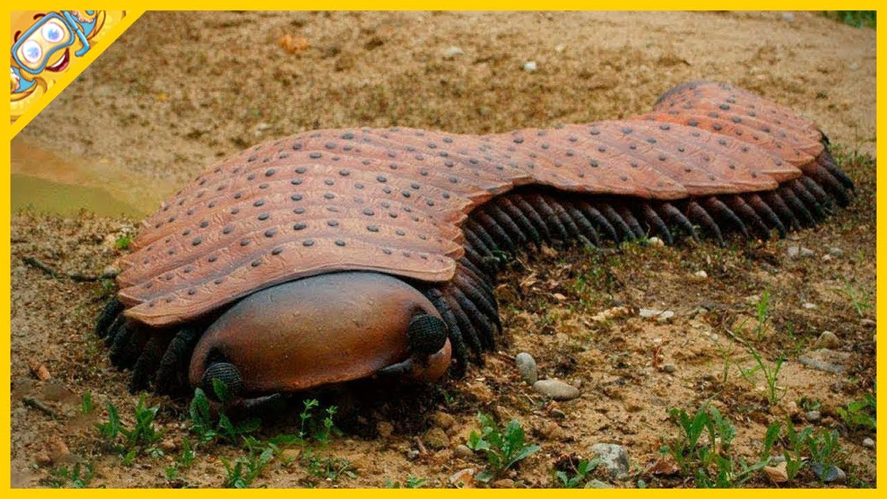 20 Nebezpečných Druhů Prehistorického Hmyzu, Které Vyhynuly