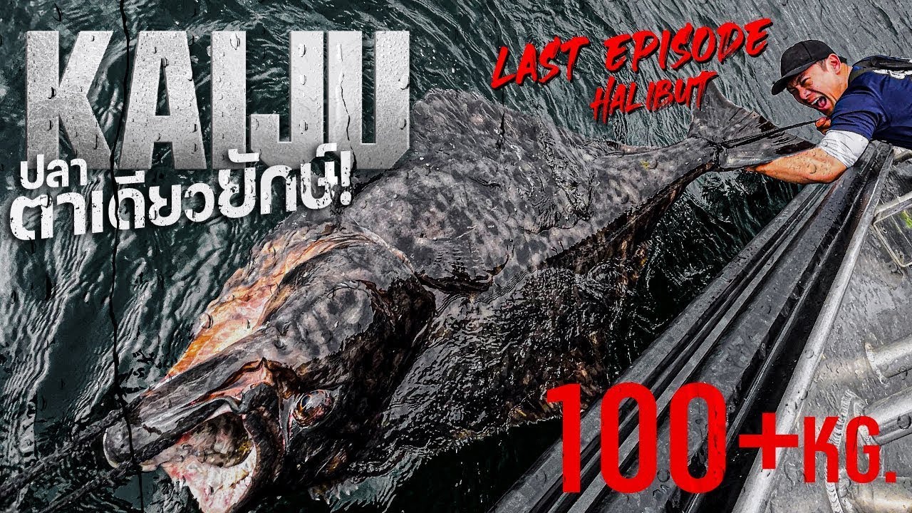 [Kaijin’s Kaiju Ep. 1. Pt.3.]ตามล่าปลาตาเดียวยักษ์ 100 KG! ตำนานแห่งมหาสมุทรอาร์กติก Part.3