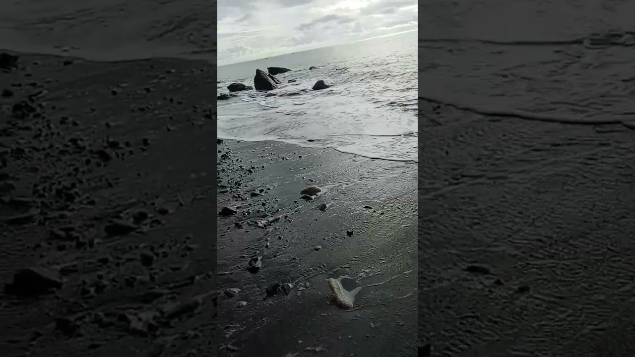 Beach Life