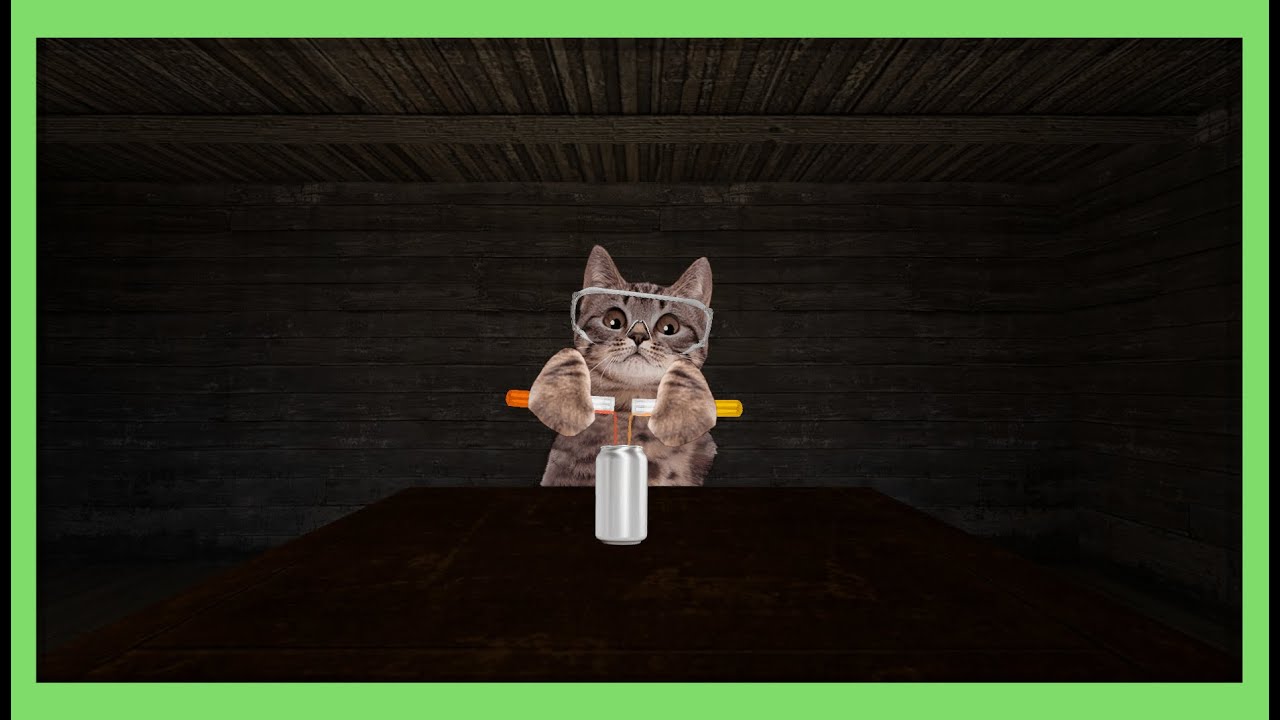 Soda Cat