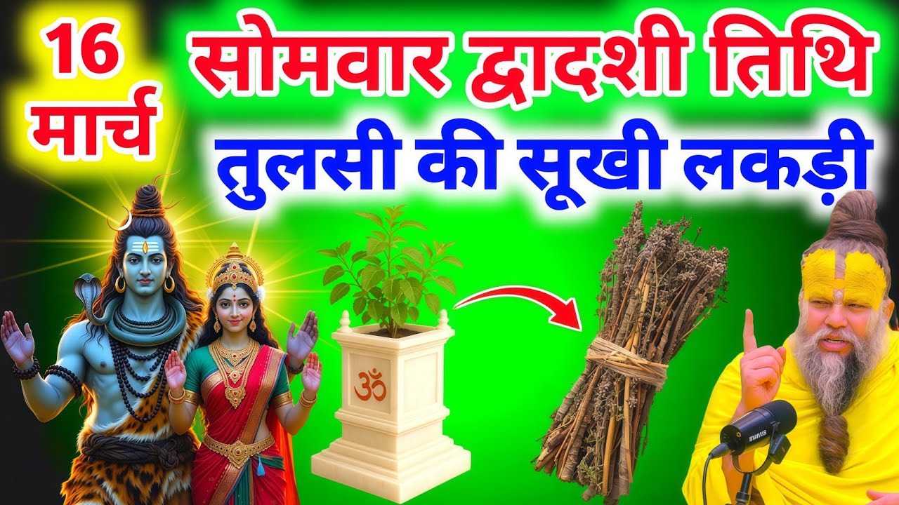 16 मार्च सोमवार द्वादशी तिथि के दिन तुलसी की सुखी लकड़ी वाला ये उपाय जरुर करे #premanandjimaharaj