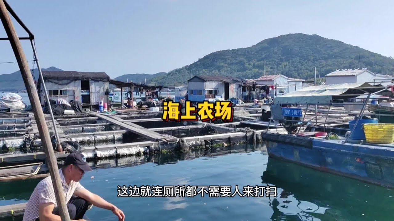 海上的农场，鱼排鱼民们的生活状态#乡村守护人 #抖音乡村生活家 #新农人计划2023 #我要做爆款 #我的乡村生活