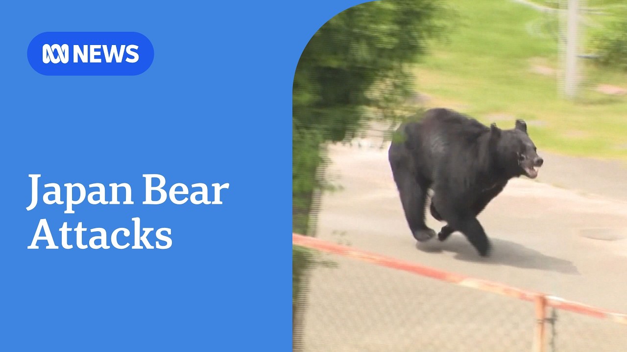 CCTV captures bear attack in Japan | ABC NEWS