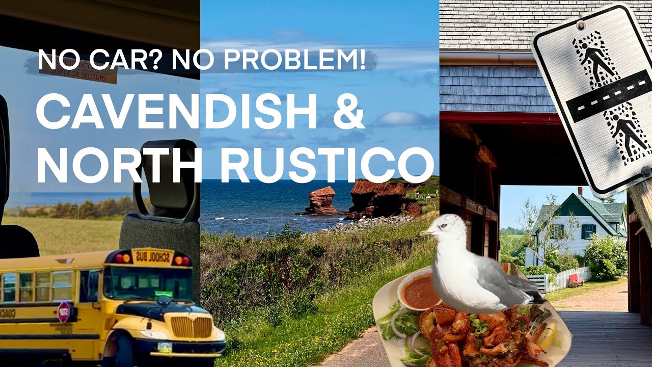🚌 Getting Around CAVENDISH & NORTH RUSTICO by BUS + Best Things to Do 🚌  Prince Edward Island