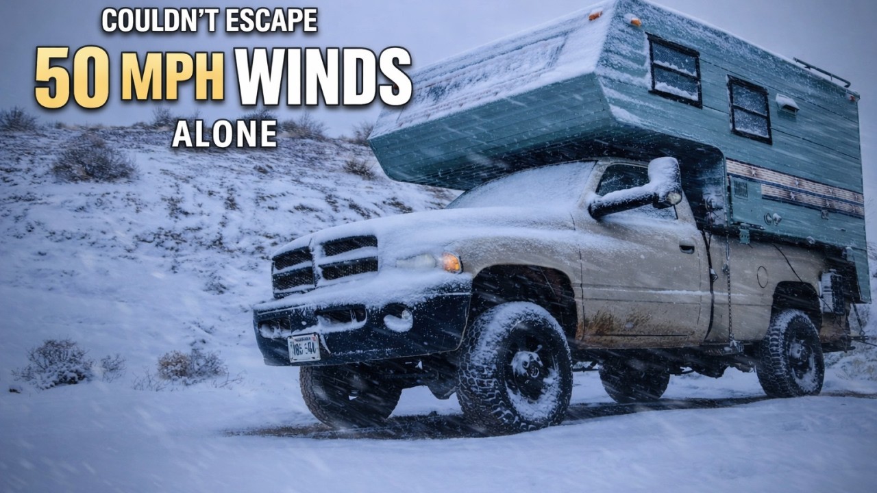 Caught in Wind | Stuck in Mud | Settled in Snow