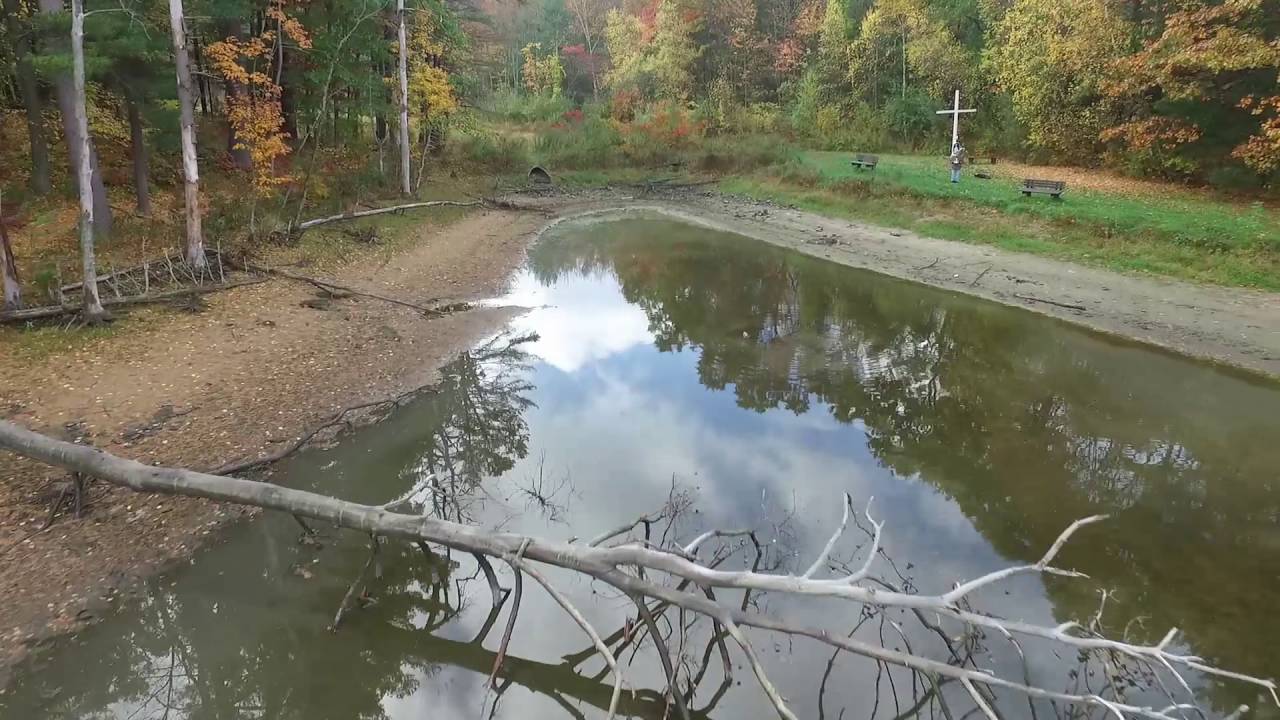 The drying up of Saint Martha's Pond Enfield CT Oct 21, 2016