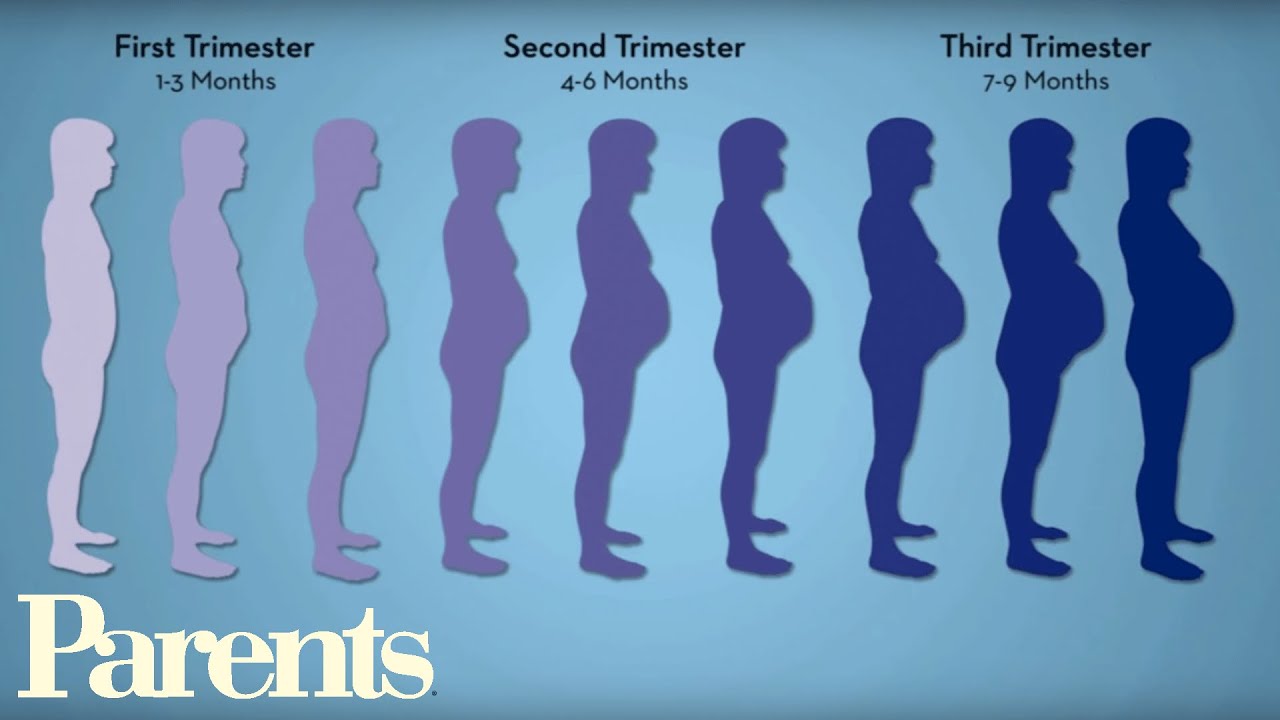 Pregnancy Workouts: Best 10 Minute Workout | Parents