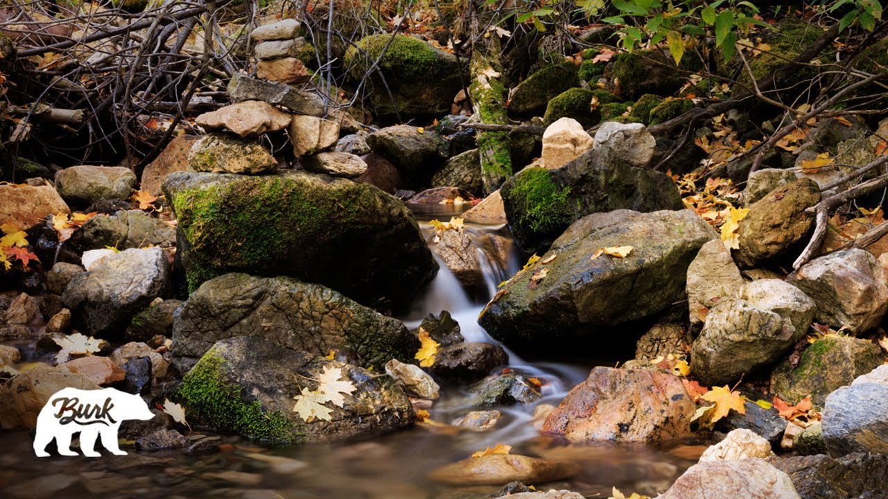 Calming Creek (White Noise) Rest/Study/Meditate (4K) Mountain Music | Pachamama Love (Autumn)