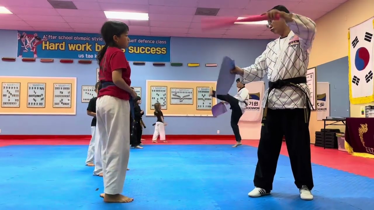 Blue brown belt