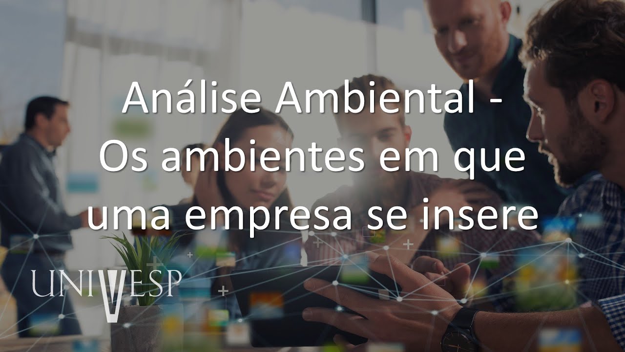 Estudos Organizacionais - Análise Ambiental - Os ambientes em que uma empresa se insere