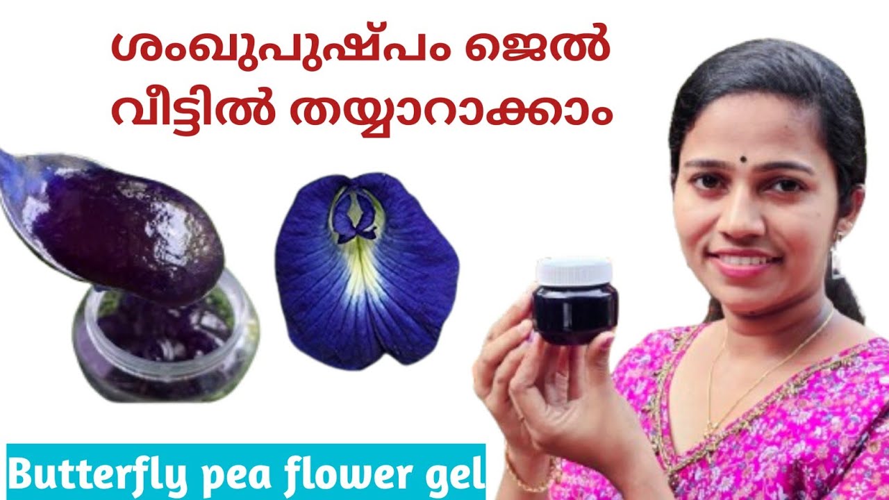 😱 വളരെ എളുപ്പത്തിൽ ശംഖു പുഷ്പം ജെല്ല് വീട്ടിൽ തയ്യാറാക്കാം| butterfly pea flower gel