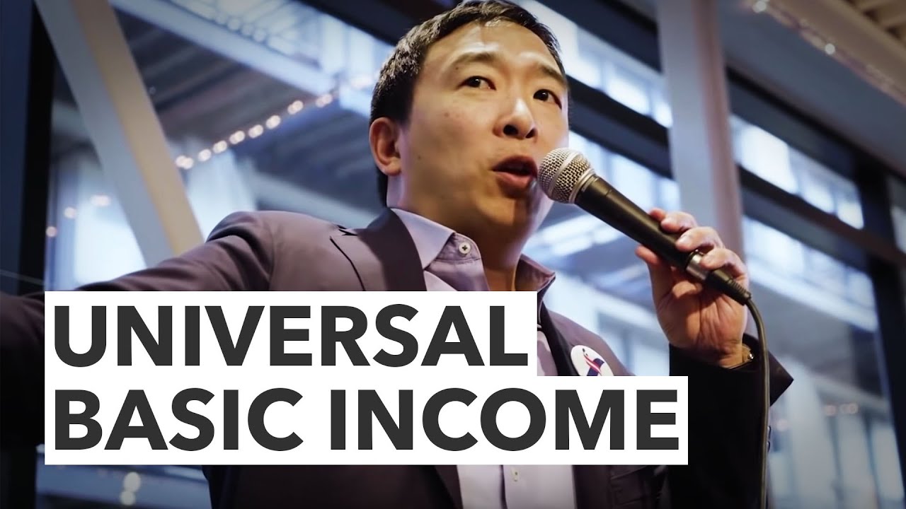 Andrew Yang on universal basic income, fact-checked