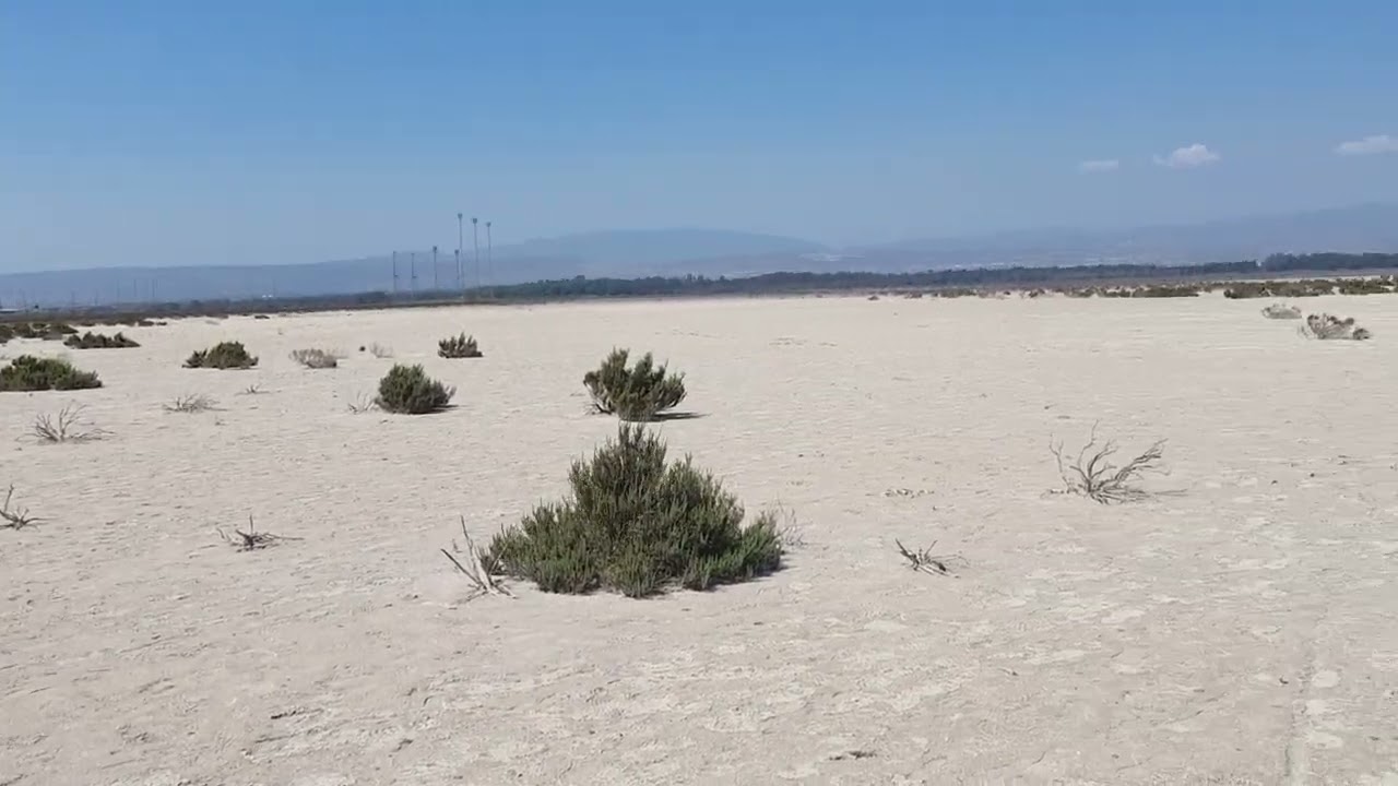 Limassol Salt Lake Zypern